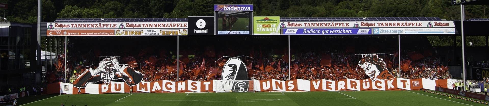 Rechtsform und verkaufte Anteile des SC Freiburg