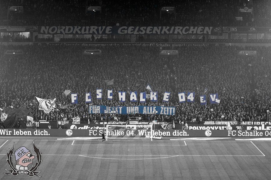 Gemeinsame Aktion beider Fanlager - FC Schalke 04 e.V. vs. 1. FC Nürnberg e.V. | Choreo - Bild 2