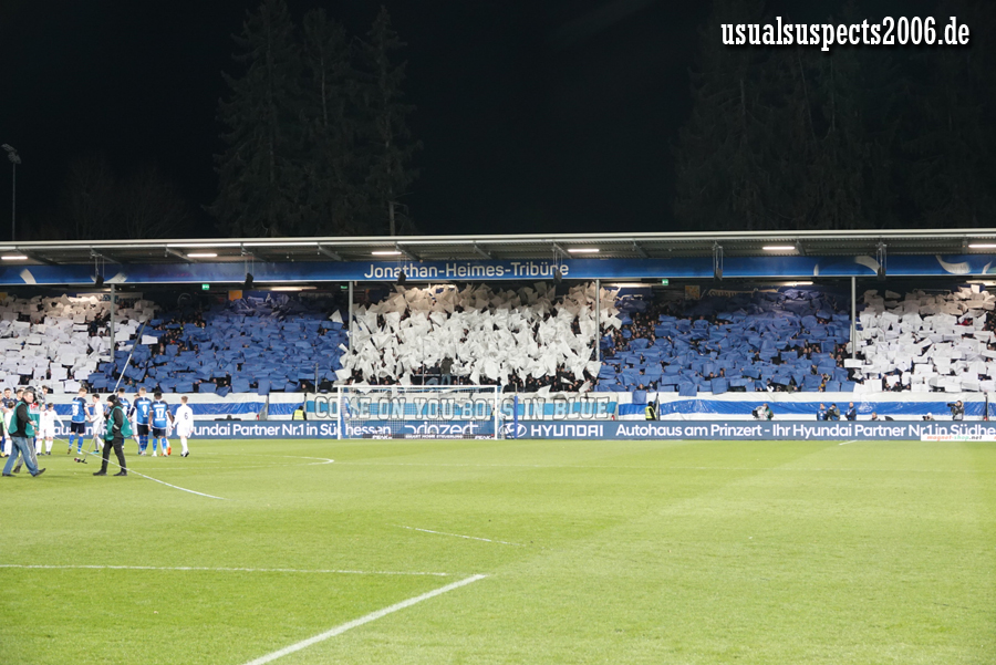 Darmstadt Choreo gegen Hamburg - SV Darmstadt 98 e.V. | Choreo