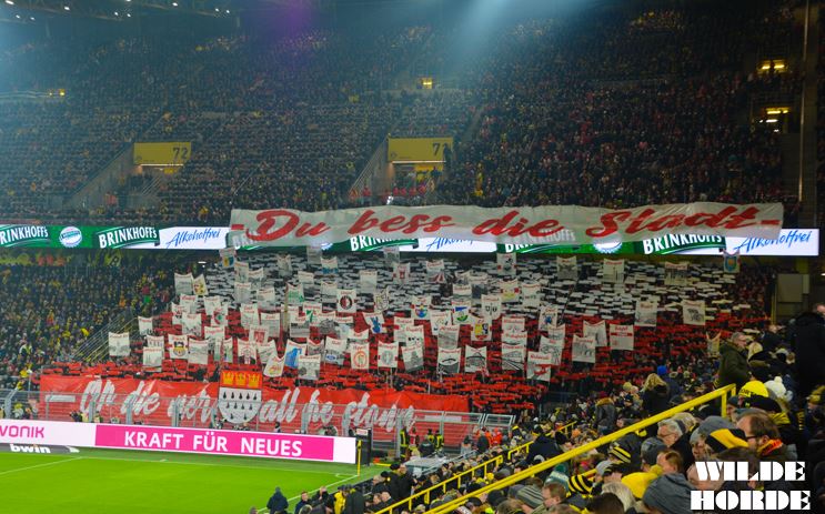 Köln Choreo in Köln - 1. FC Köln | Choreo