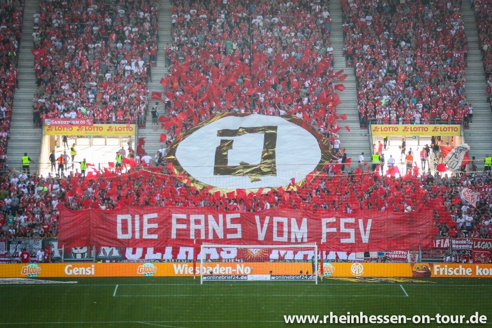 Mainz Choreo gegen Hoffenheim - 1. FSV Mainz 05 e.V. | Choreo