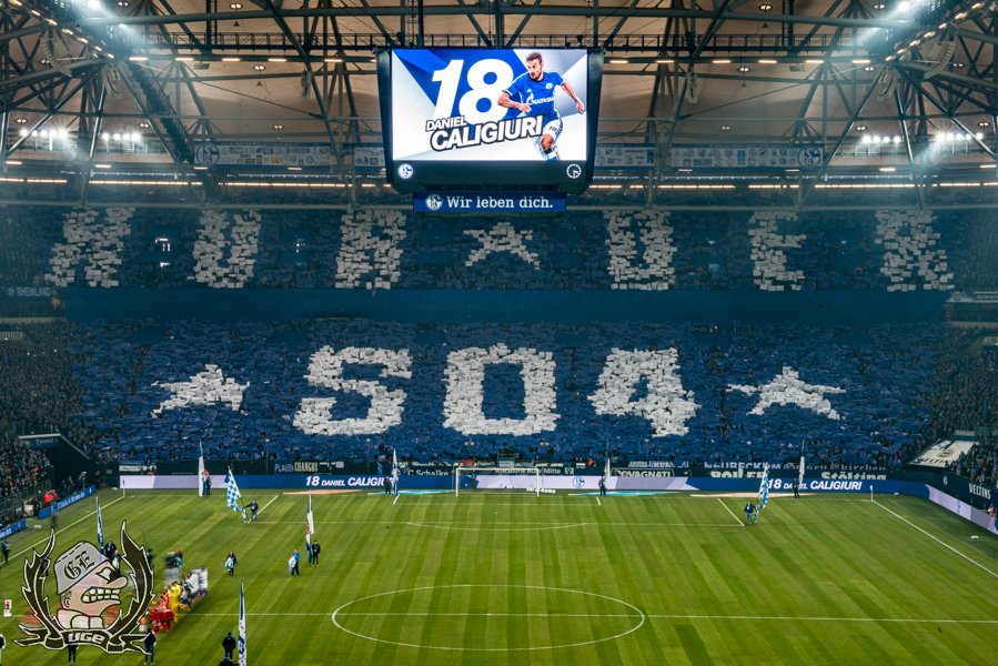 Schalke Choreo gegen Hertha BSC - FC Schalke 04 e.V. | Choreo
