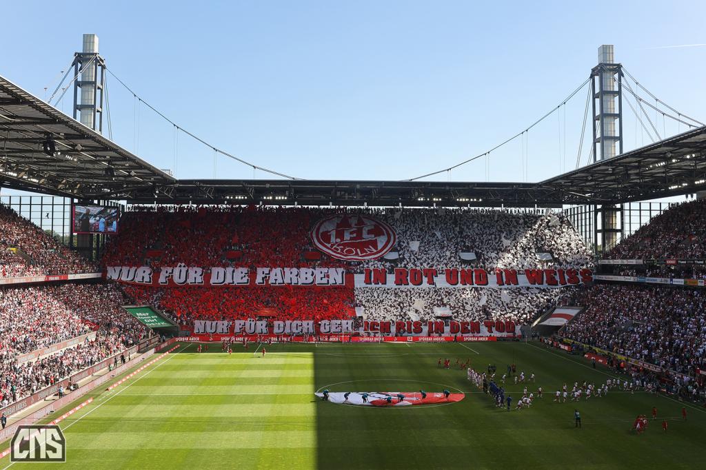 Köln Choreo gegen Schalke - 1. FC Köln | Choreo