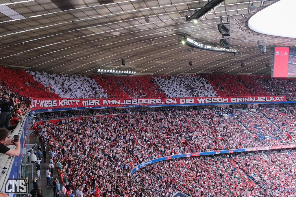 Köln Choreo in München - 1. FC Köln | Choreo