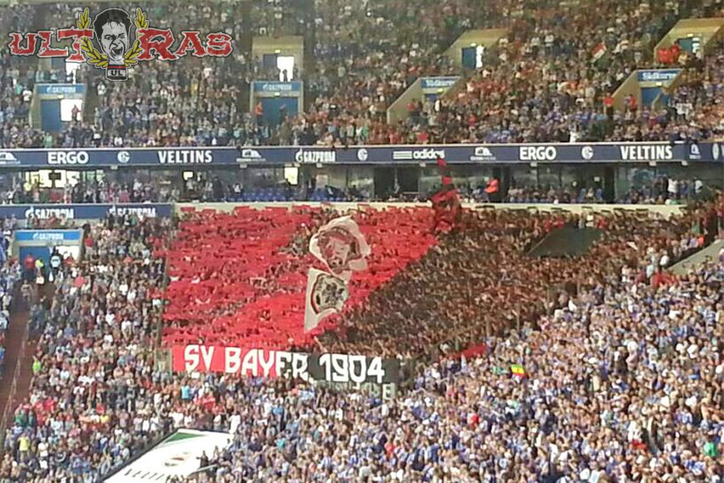 Leverkusen Choreo auf Schalke - Bayer 04 Leverkusen | Choreo