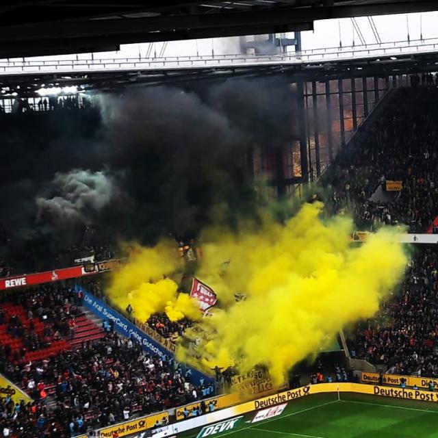 Dynamo Dresden in Köln
