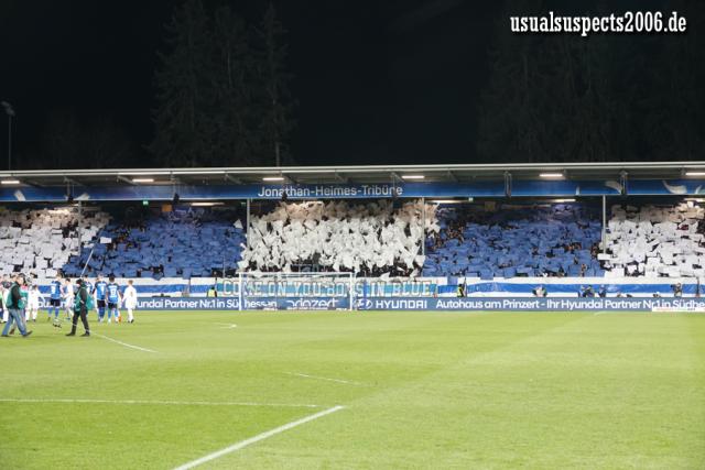 Darmstadt Choreo gegen Hamburg