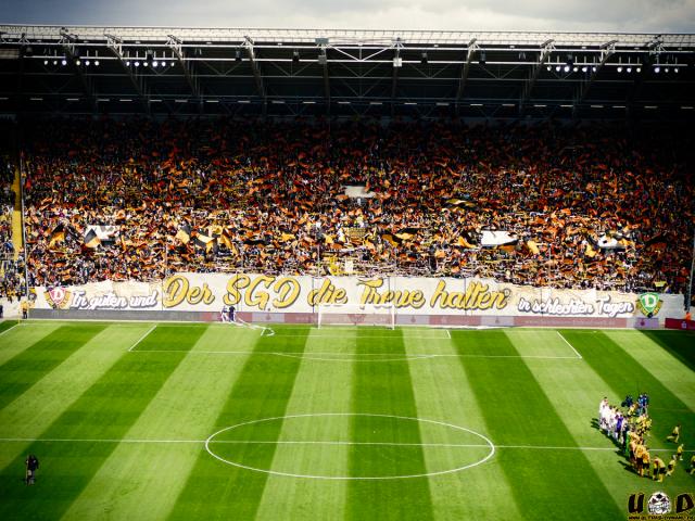 Dynamo Choreo gegen Düsseldorf