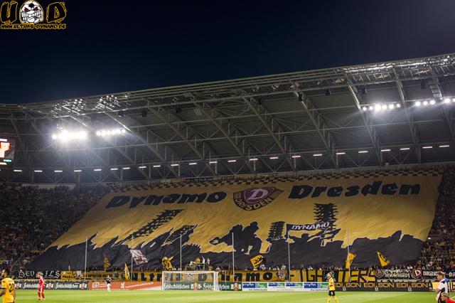 Dynamo Choreo gegen Halle