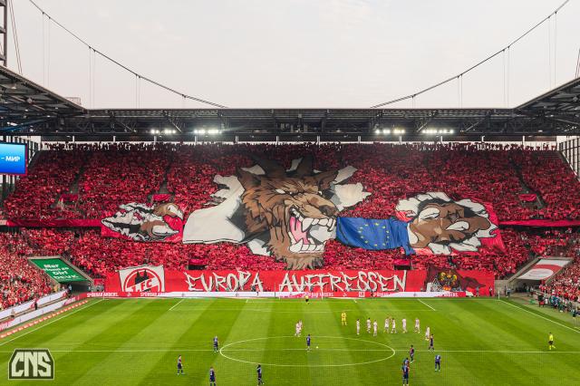 Köln Choreo gegen Fehervar