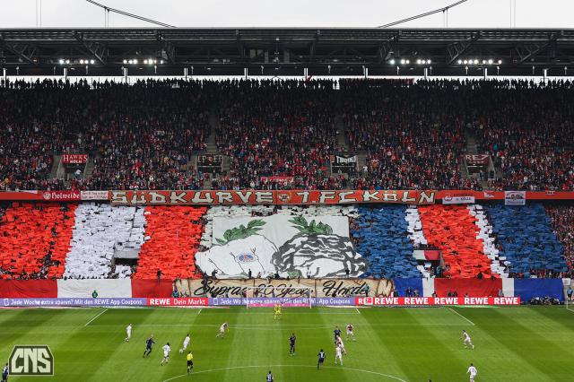 Köln Choreo gegen Mainz