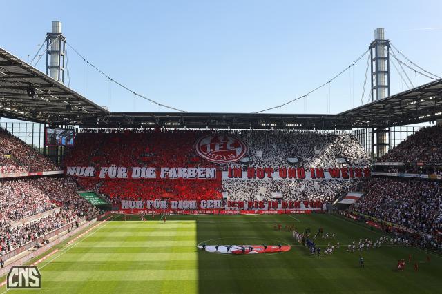 Köln Choreo gegen Schalke