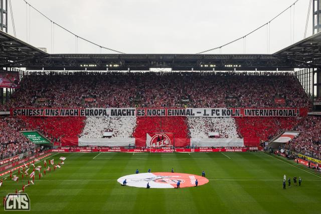 Köln Choreo gegen Wolfsburg