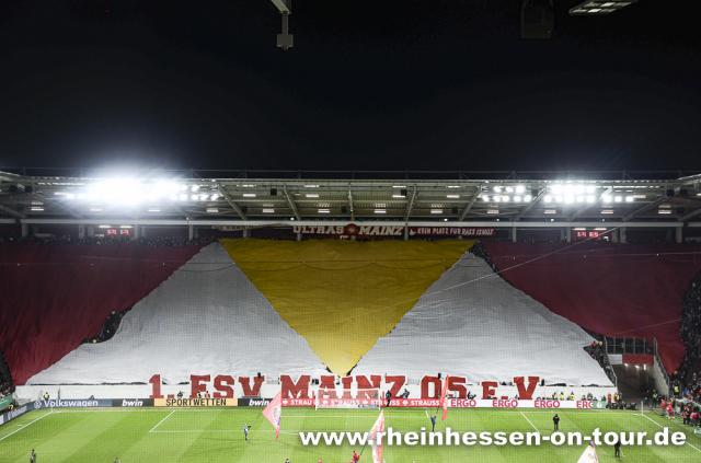 Mainz Choreo gegen Bayern München