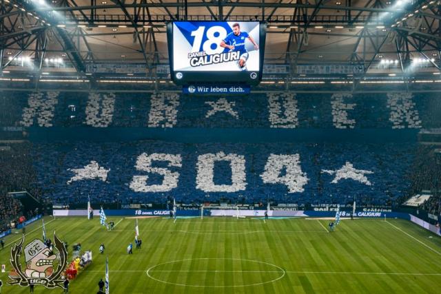 Schalke Choreo gegen Hertha BSC