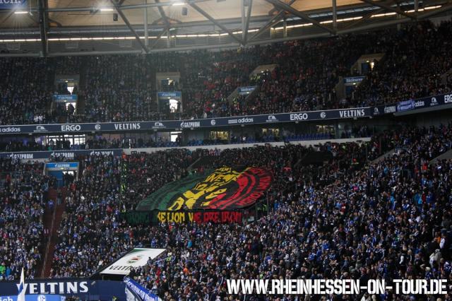 Mainz Choreo auf Schalke