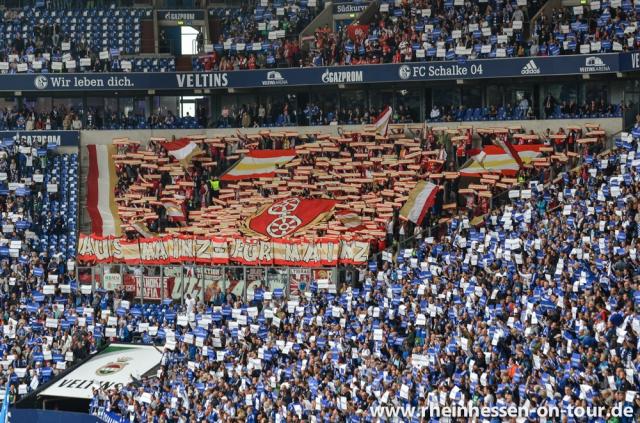 Mainz Choreo auf Schalke