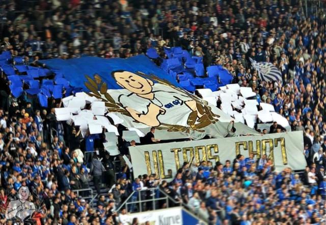Hoffenheim Choreo gegen Dortmund