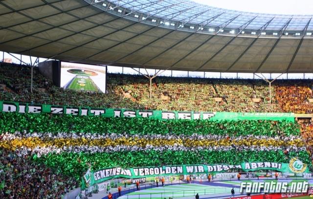 Wolfsburg Choreo beim Pokalfinale 2015