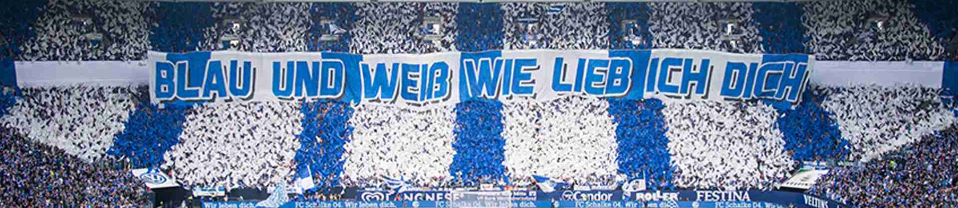 Fanfreundschaft zwischen Schalke 04 und dem 1. FC Nürnberg